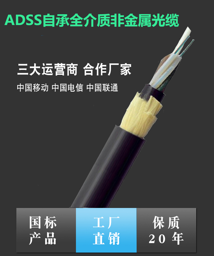 ADSS1.jpg
